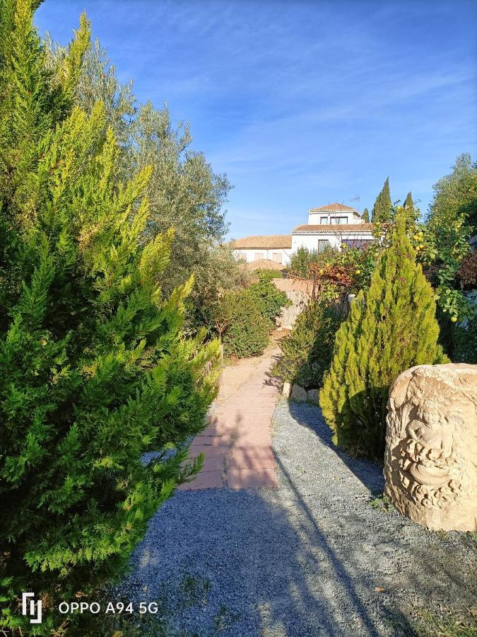 Morente Suena La Alhambra Appartamento *