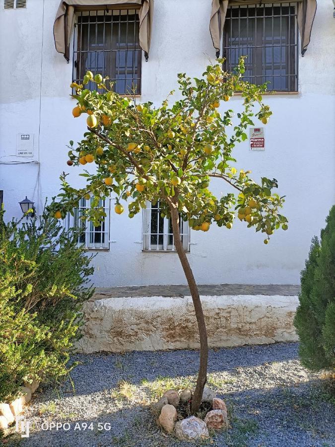 Morente Suena La Alhambra Appartamento
